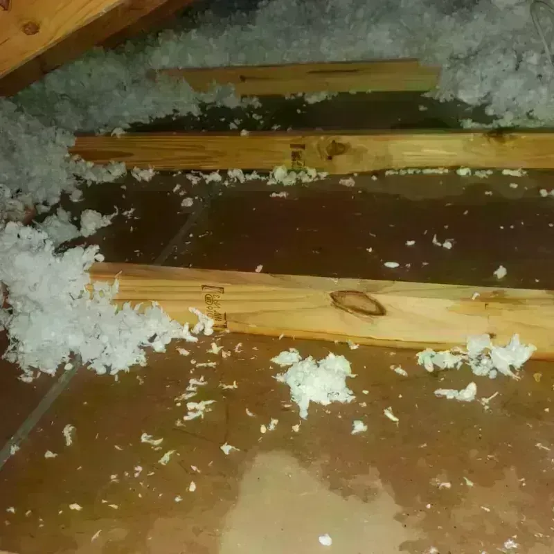 Attic Water Damage in New Union, TN